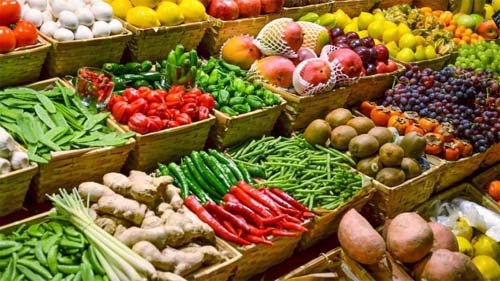 Queimadas e desperdício de alimentos reforçam urgência de tecnologia para práticas agrícolas sustentáveis
