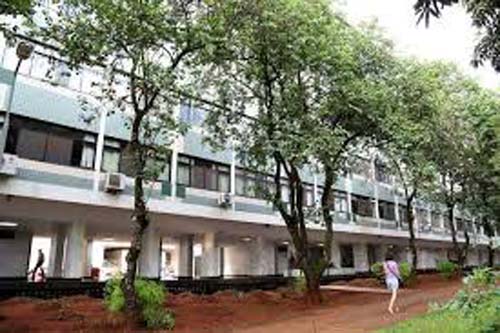 Divulgado Edital de Processo Seletivo do IBAMA com mais de 1.140 vagas