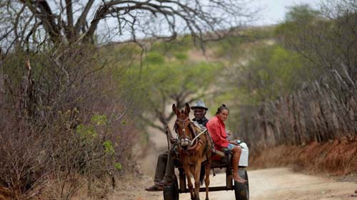 Brasil vive retrocesso nos direitos humanos, diz OEA em visita ao país