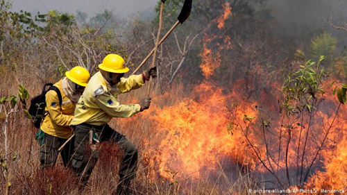 Queimadas no Brasil aumentam 82% em relação a 2018