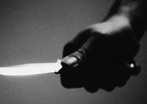 Briga por causa de égua quase acaba em morte na zona rural de Arapiraca