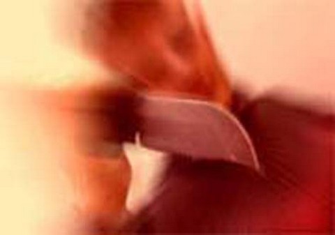 ‘Fuba’ mata vizinho a golpes de faca peixeira na Fazenda Cana Brava em São Miguel dos Campos