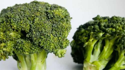 Brócolis: um superalimento leve, nutritivo e versátil para o dia a dia