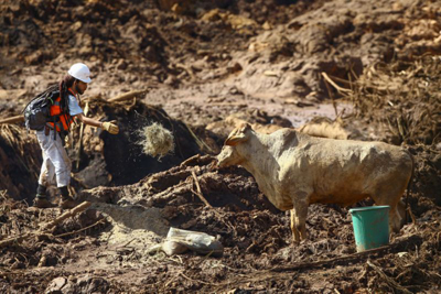 Engenheiros que atestaram segurança de barragem que rompeu são presos em SP