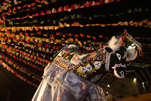 Bumba Meu Boi pode se tornar patrimônio imaterial da humanidade