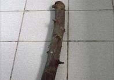 Homem é espancado até a morte no bairro Massaranduba