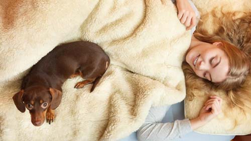 Mulheres dormem melhor com cachorros do que com homens, diz estudo