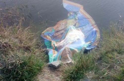 Homem morre vítima de afogamento em Girau do Ponciano;o corpo foi removido ao IML de Arapiraca