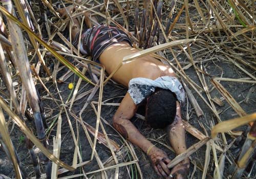 Corpo com várias marcas de disparos de arma de fogo é encontrado em Penedo