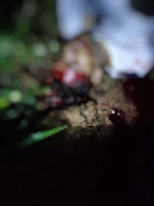 Homem sequestrado em Pernambuco é encontrado morto em Palmeira dos índios, AL