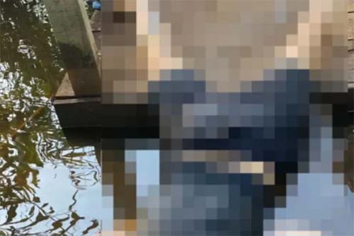 Filho de vereador desaparecido é encontrado morto com a cabeça submersa em lama