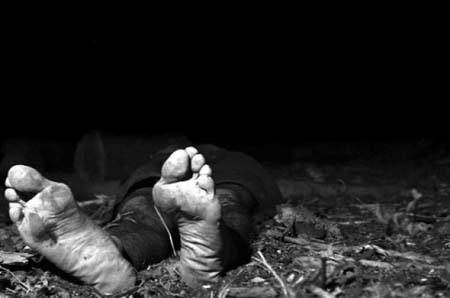 Agricultor é assassinado em Palmeira dos Índios