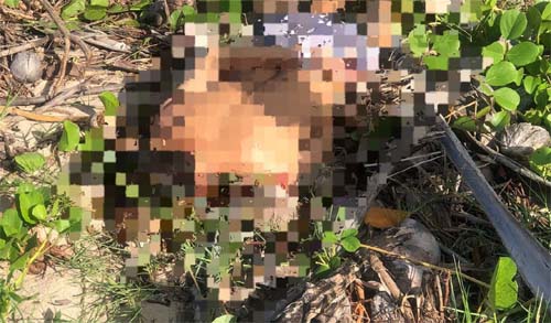 Corpo de jovem alvejado com tiros na cabeça é encontrado na praia no litoral norte