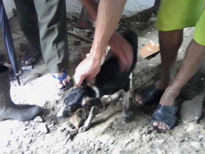 PELOPES de União sob aplausos resgata cadela vira lata no Bairro Varzea na periferia da cidade