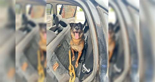 PF acha outro fuzil escondido em carro usado por fugitivos de Mossoró