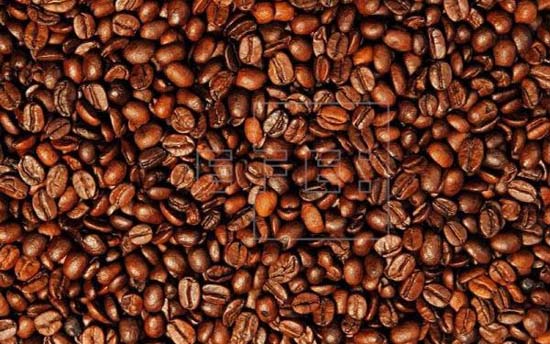 Exportações de café no mês de setembro aumentam 24% em relação a 2017