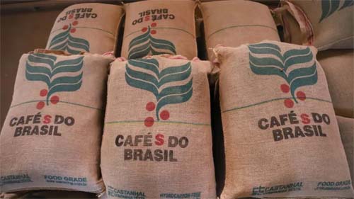 EUA produzem apenas 1% do café que consomem e importam 8 milhões de sacas do Brasil