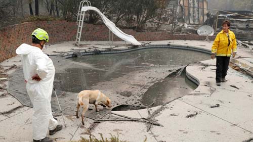 Sobe para 50 número de mortos por incêndios na Califórnia