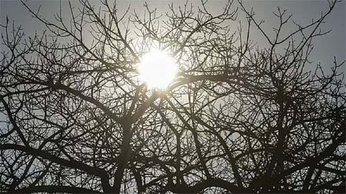 Calor fora de época e tempo seco durante o outono preocupam meteorologistas em Alagoas