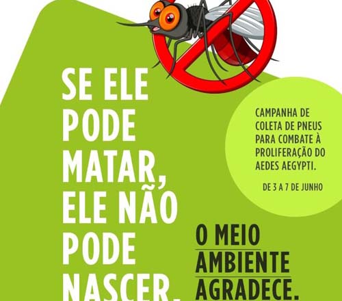 Campanha Vai Recolher Pneus Para Combater A Proliferação Do Aedes Aegypti Em Murici
