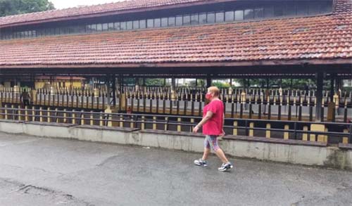 Caminhada, mesmo sem supervisão, melhora saúde cardiovascular das pessoas