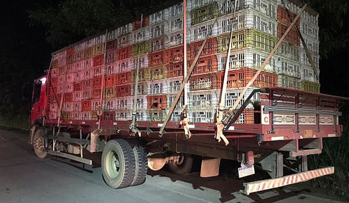 Polícia apreende carga com com quase 2 mil frangos sem nota fiscal