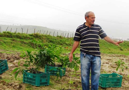 Secretaria de Meio Ambiente começa reflorestamento no Riacho Canabrava