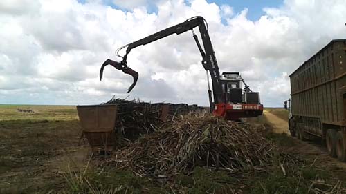 Usina Coruripe registra maior safra da sua história