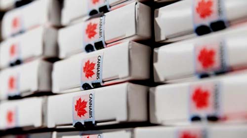 Canadá, o país onde a maconha está em falta após ser legalizada