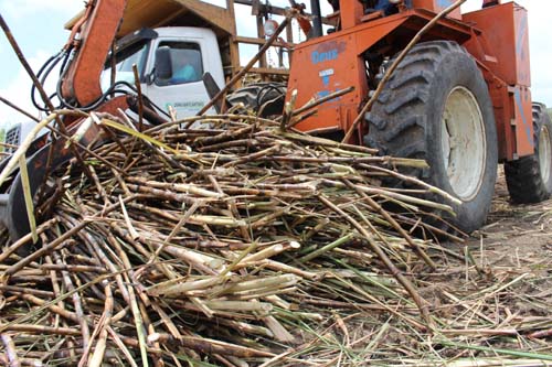 ATR reage em junho com variação positiva de 1,5%