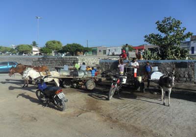 Canapi pode decretar estado de calamidade pública por causa da seca
