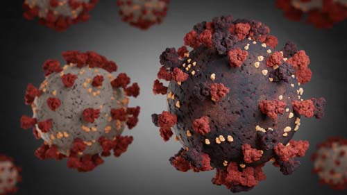 Estudo detecta em proteína mutações que levam ao câncer