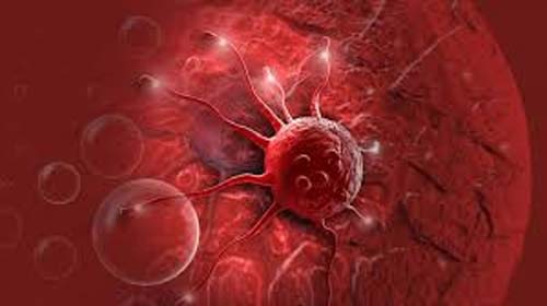 Novo plano para combater câncer de colo tem foco em rastreio e vacina