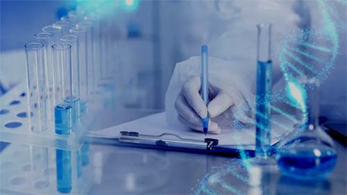 Avanços Promissores na Luta contra o Câncer de Pâncreas com Terapia Experimental