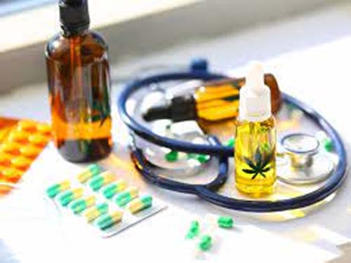 CFM abrirá consulta pública sobre uso da cannabis medicinal