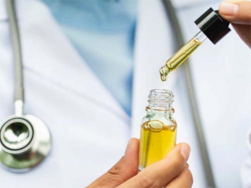 Cannabis medicinal na saúde pública será tema de sessão especial na ALE/Alagoas