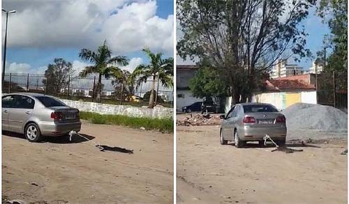 Motorista amarra pata de cachorro no carro e arrasta animal pela rua em Maceió