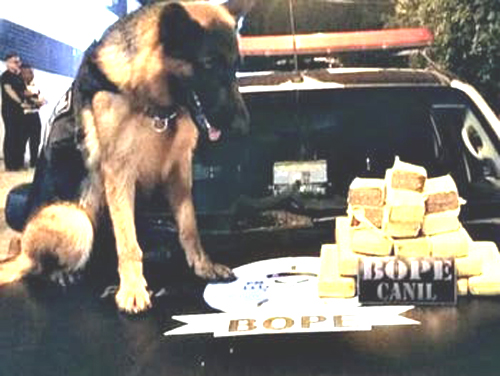 Suspeito é preso, outro baleado e 8kg de maconha são apreendidos em ação do Bope em Maceió