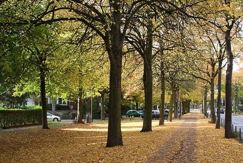 Conferência Intermunicipal de Cultura é realizada em Capela