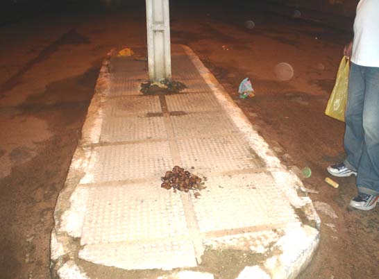 União dos Palmares