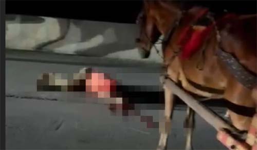 Homem morre ao ser atropelado por moto em Igaci