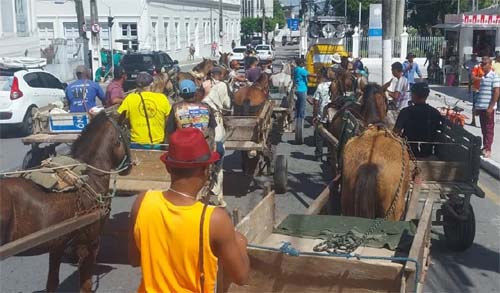 Carroceiros bloqueiam vias no Centro de Maceió contra apreensão de animais