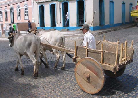 Agricultor e criança de 5 anos morrem em acidente com carro de boi em Água Branca