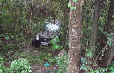 Motorista perde o controle do veículo e acaba dentro de mata 