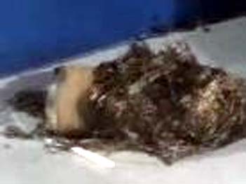 Explosão jogou cilindro de GNV de carro a 50 m de distância