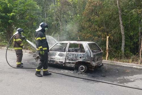 Carro é Destruído por Incêndio na BR-104, em Messias