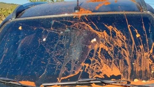 Juiz que mandou prender Milton Ribeiro é alvo de ataque em Brasília