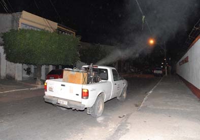 Combate à dengue ganha reforço em Palmeira a partir desta quarta