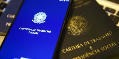 Procurando emprego? Portal de Vagas da Sólides reúne mais de 350 oportunidades em Maceió e região metropolitana