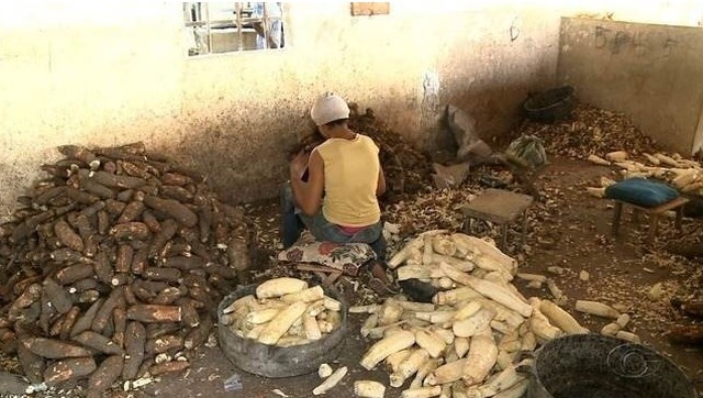 MTE flagrou 90 trabalhadores em condições análogas às de escravo em 2018 - União dos Palmares está incluso